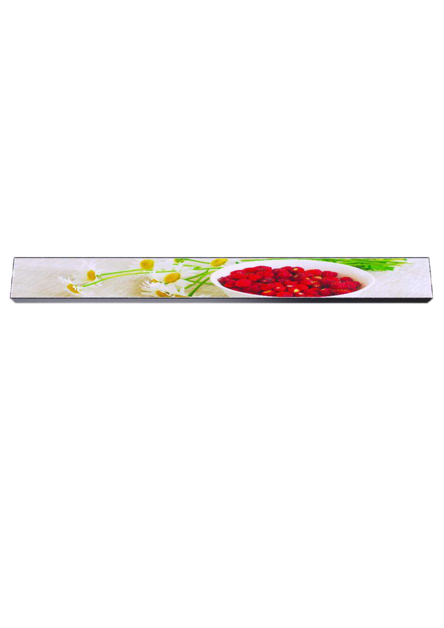 Rectangle Mounted Indoor Single Sided Sign